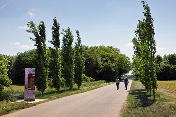 Sankt Augustin, zwischen Meindorfer Straße und in den Hasenkaulen