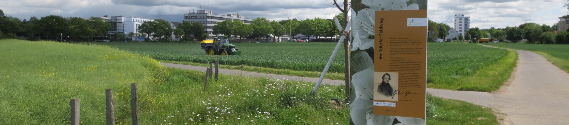 Das Grüne C ist ein Landschaftsprojekt im Rahmen der Regionale 2010, mit dem Freiräume erhalten, gesichert und vernetzt werden sollen. Das Projekt mit Leben zu füllen ist eine der Aufgaben der Kommunen Alfter, Bonn, Bornheim, Niederkassel, Troisdorf und Sankt Augustin.