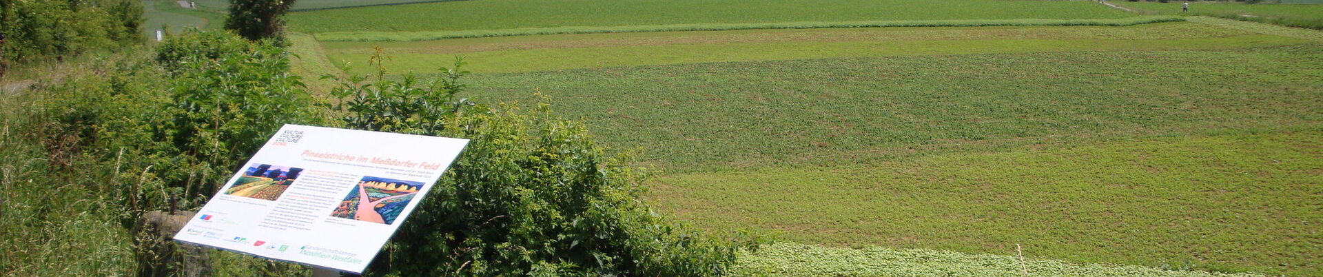 Meßdorfer Feld