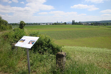 Meßdorfer Feld