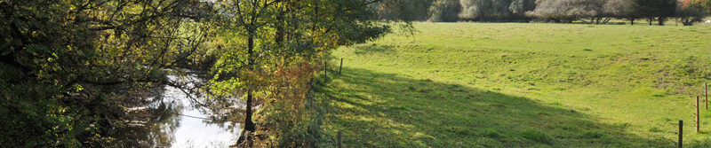 Der kleine Bach im Tal