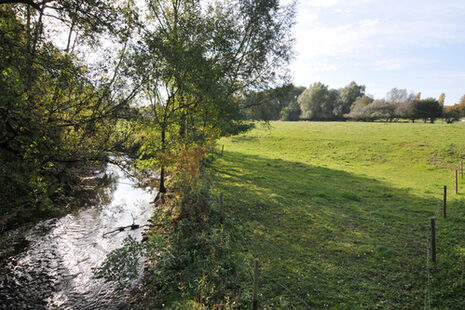 Der kleine Bach im Tal